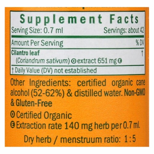 Cilantro