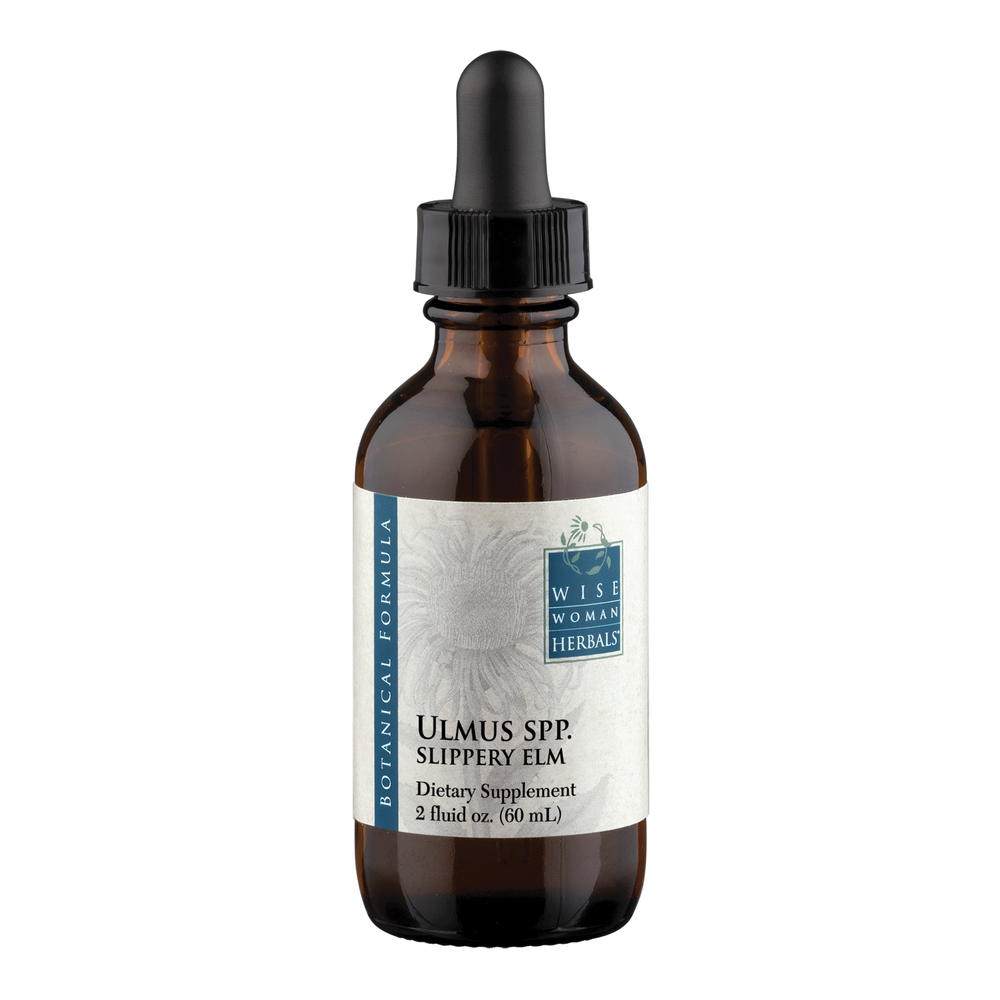 Ulmus rubra - slippery elm