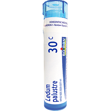 Ledum Palustre 30c