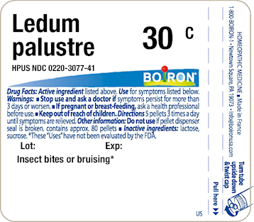 Ledum Palustre 30c