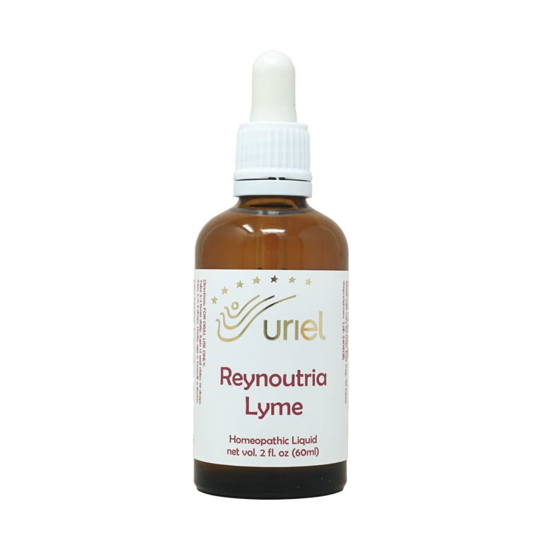 Reynoutria Lyme Liquid