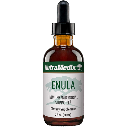 Enula