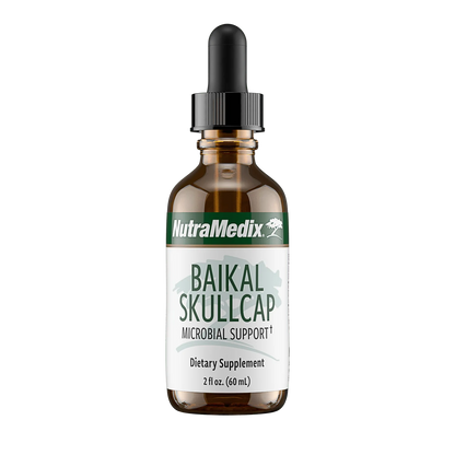 Baikal Skullcap