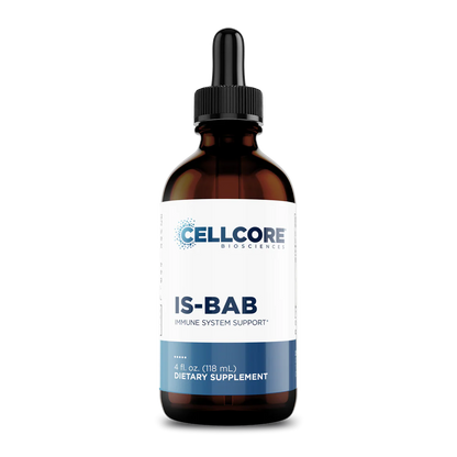 IS-Bab