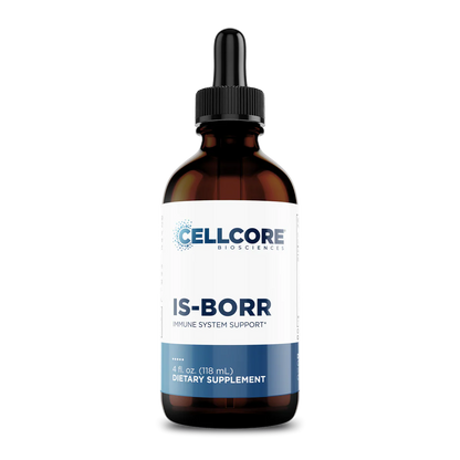 IS-Borr