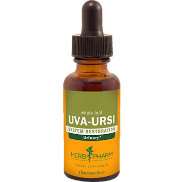 Uva-Ursi