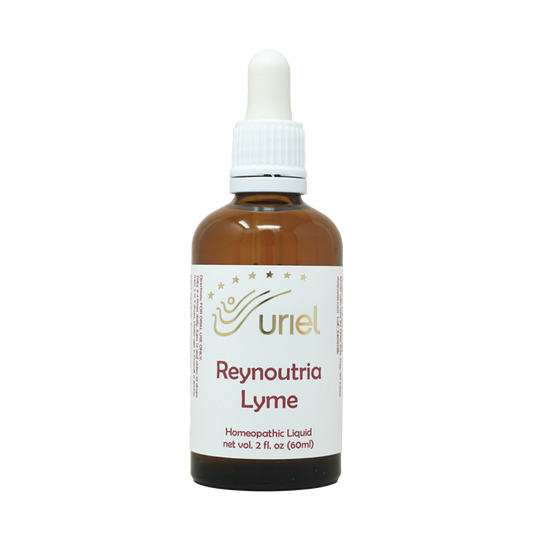 Reynoutria Lyme Liquid